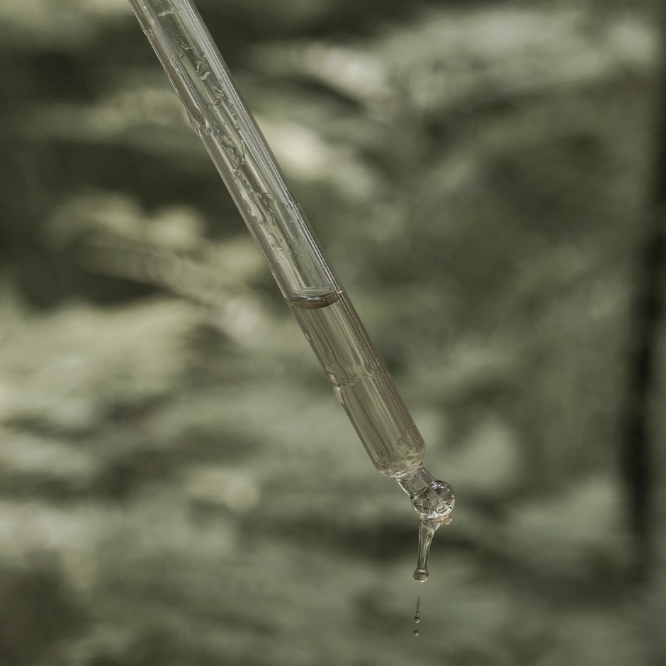 Mushroom tincture dropper with liquid extract representing ultrasonic-assisted extraction and bioavailability