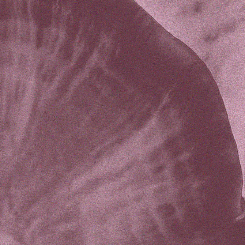 Close-up texture of Reishi mushroom, Ganoderma lucidum, used in Medshrum evening mushroom rituals.