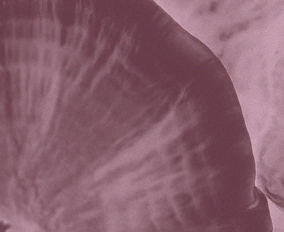 Close-up texture of Reishi mushroom, Ganoderma lucidum, used in Medshrum evening mushroom rituals.